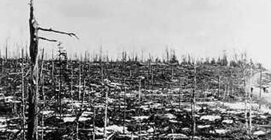 Остатки леса в коммуне Кухмо в конце Зимней войны