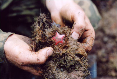 ,  , 47- , " "  . -, 1999 .