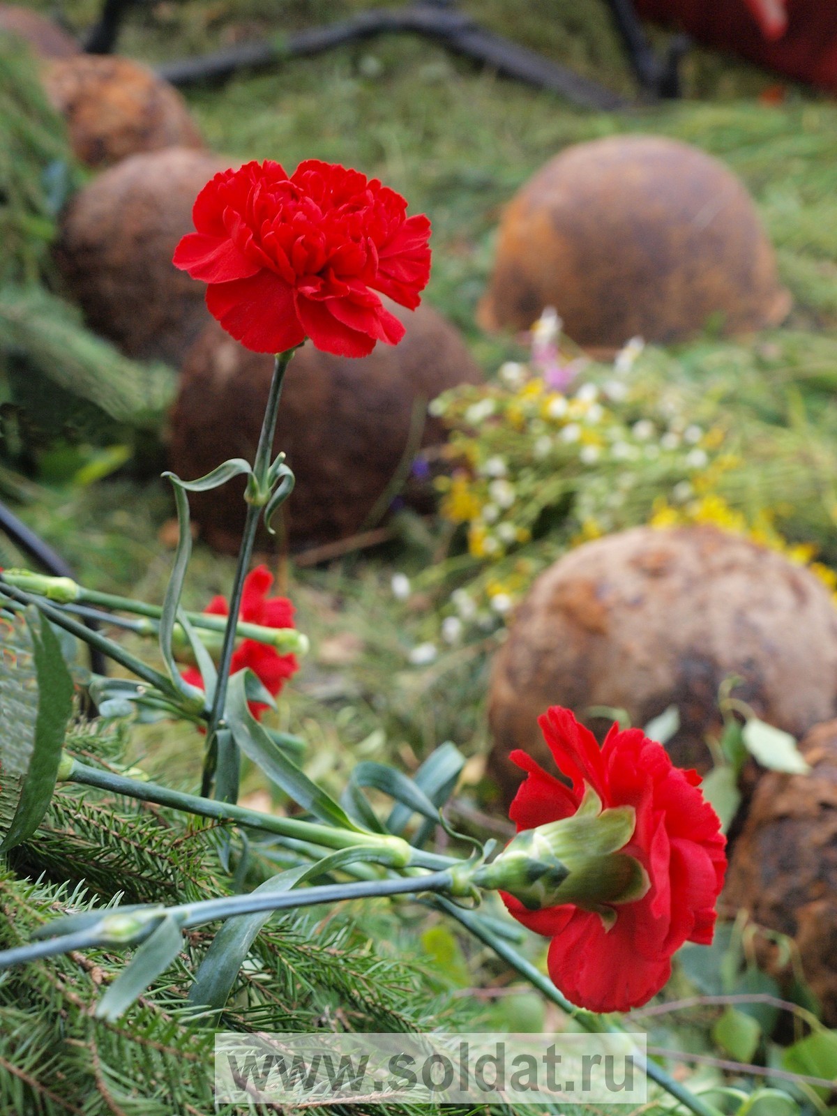  .,  ,  . , 14.08.2011 -   